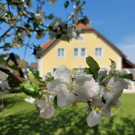 Guest house Gaestehaus Familie Trachsler 3*