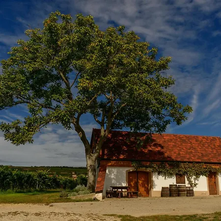 Guest house Gaestehaus Familie Trachsler Rohrendorf bei Krems