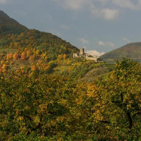 Pensionat Gaestehaus Familie Trachsler 3*