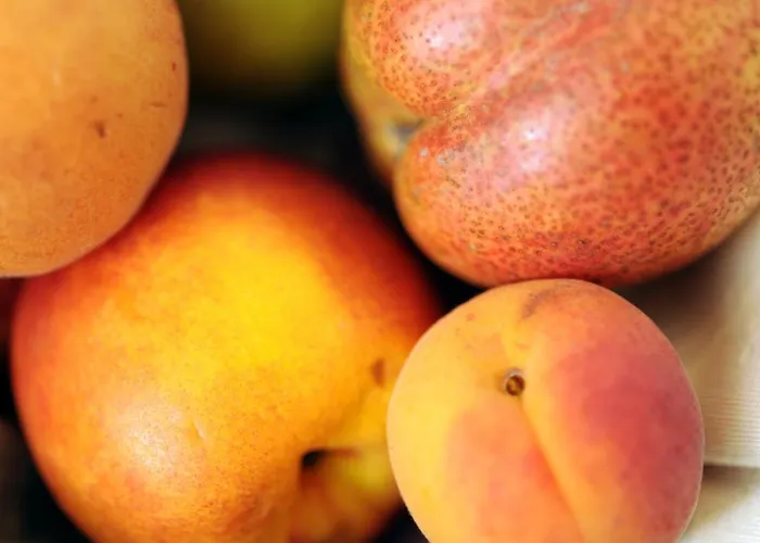 Gaestehaus Familie Trachsler