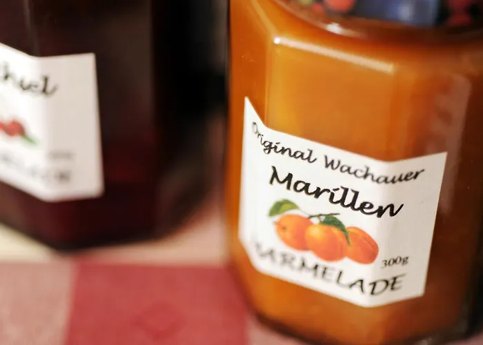 Guest house Gaestehaus Familie Trachsler Rohrendorf bei Krems