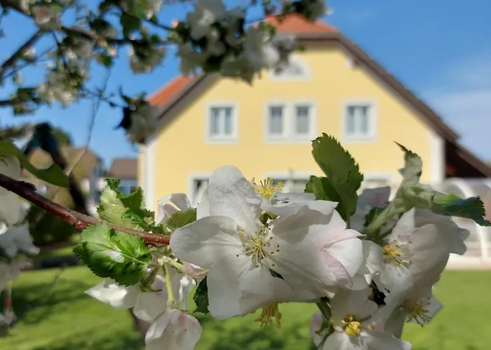 Guest house Gaestehaus Familie Trachsler 3*