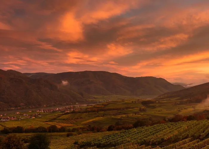 Gaestehaus Familie Trachsler Guest house Rohrendorf bei Krems