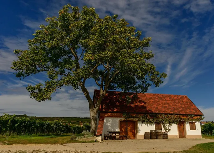Guest house Gaestehaus Familie Trachsler Rohrendorf bei Krems
