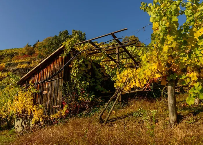 Gaestehaus Familie Trachsler Penzion